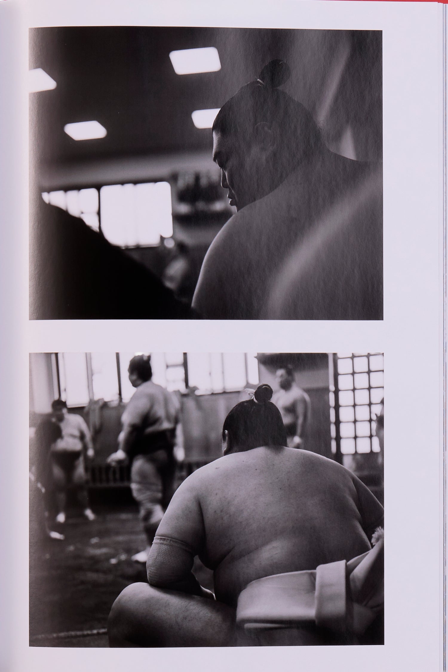 Fil Rouge par Matthieu Gorin