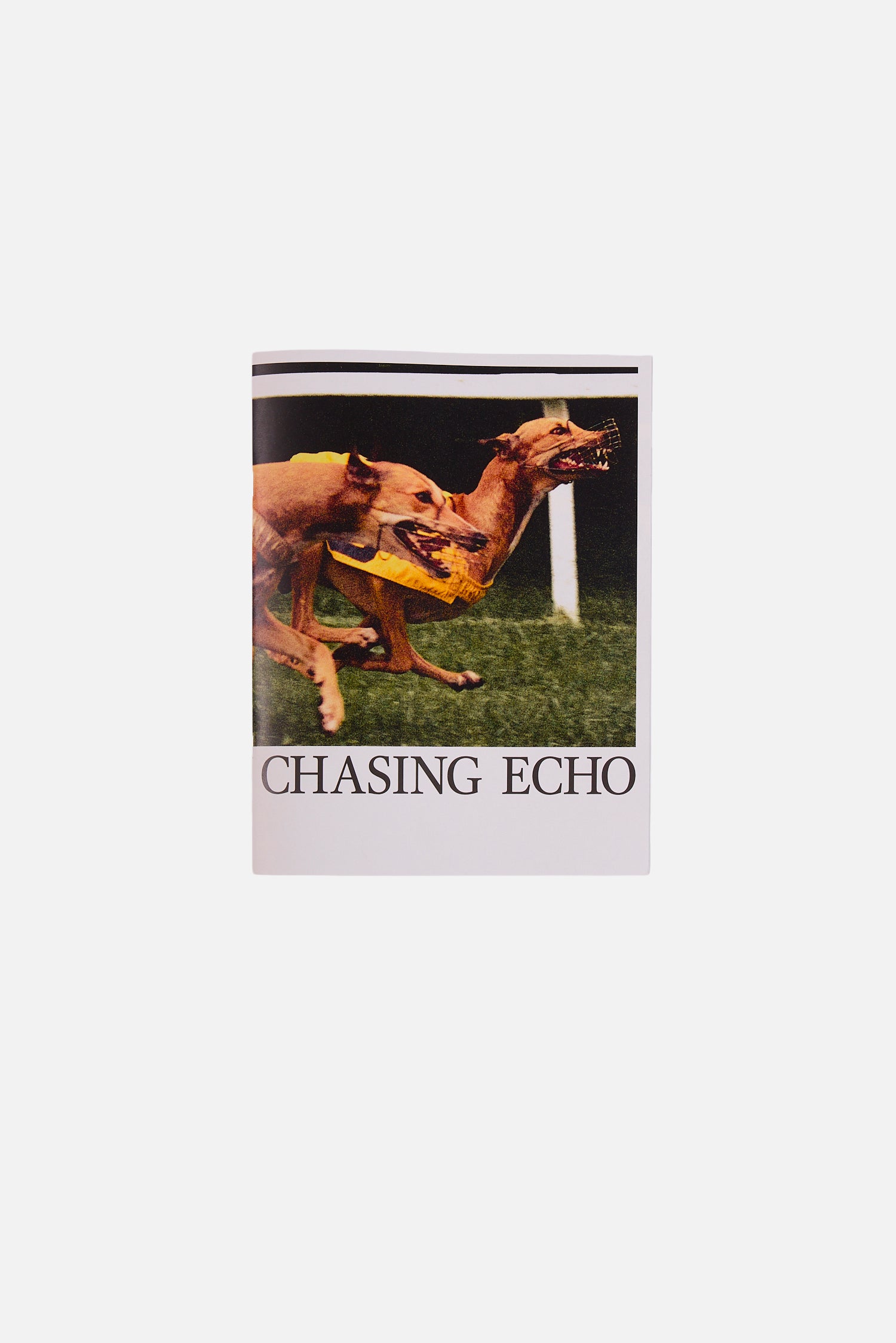 Chasing Echo Book