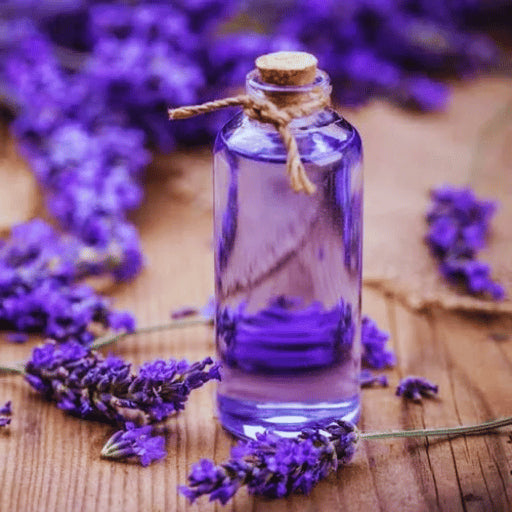 Infusion Lavande Bouteille