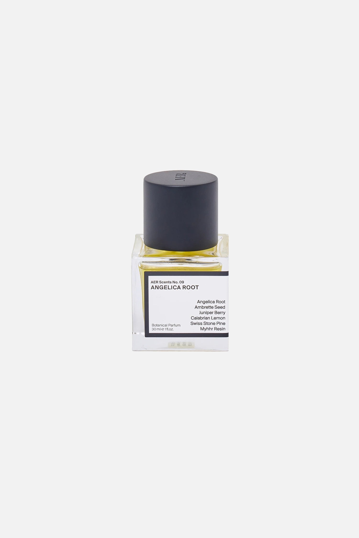 Accord No.09: Angelica Root