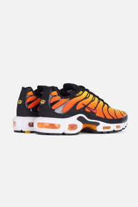 Air Max Plus