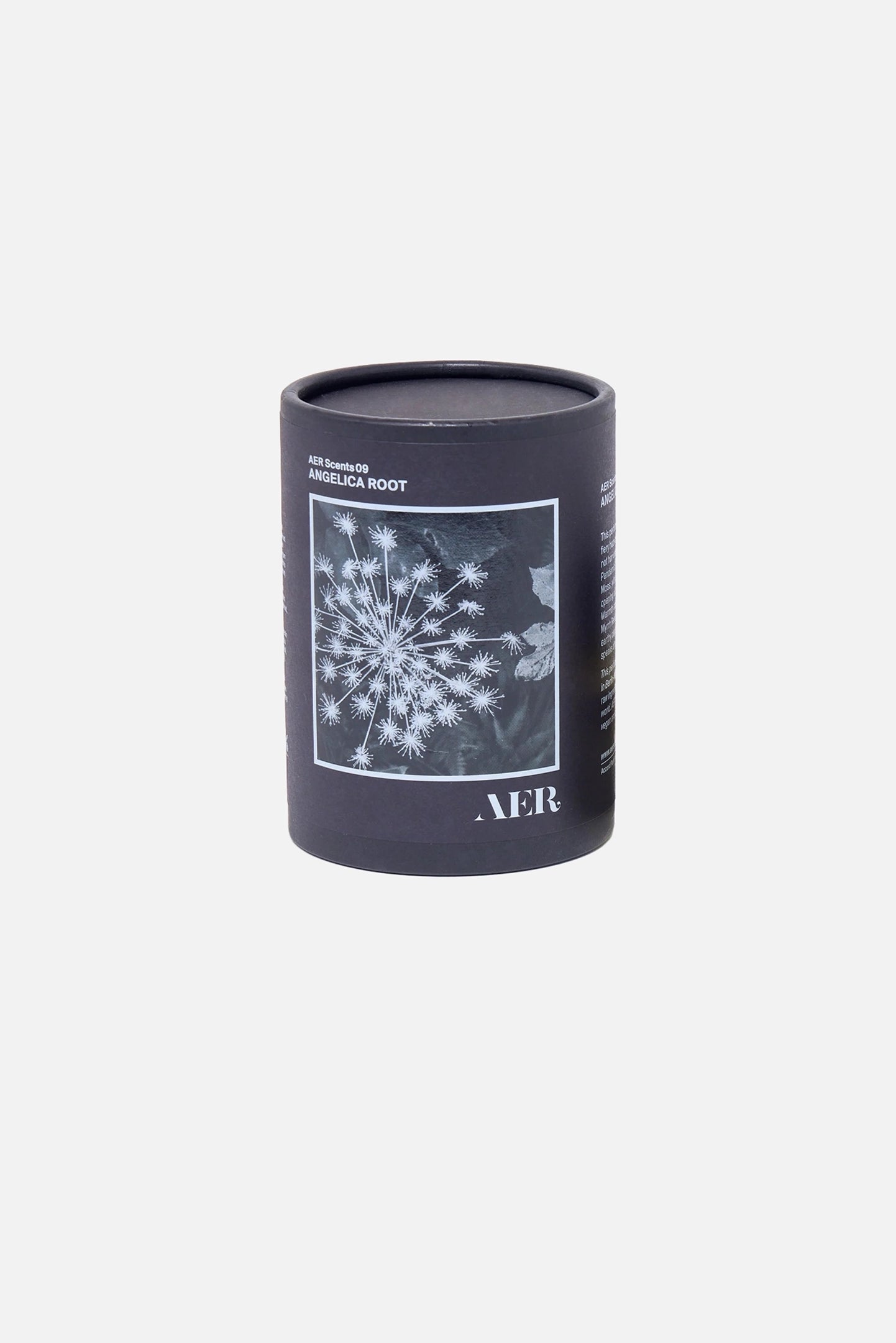 Accord No.09: Angelica Root